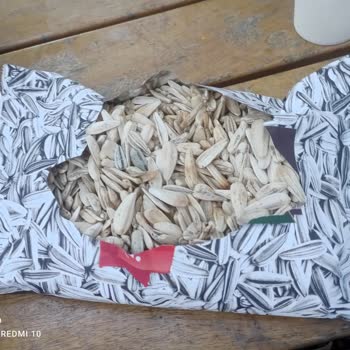 Çerezya'nın Kötü Çekirdeği