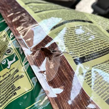 Temizmama.com Un Hasarlı/patlak Ürün Yollaması