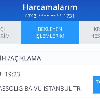 Passolig Ebilet Yenileme Mükerrer Tahsilat Ve İşlemin Yapılamaması