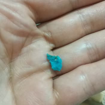 BİM Cipsin İçinden Çıkan Şey