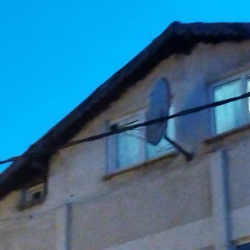 İstanbul İtfaiyesi Çatıda Mahsur Kalan Kedi