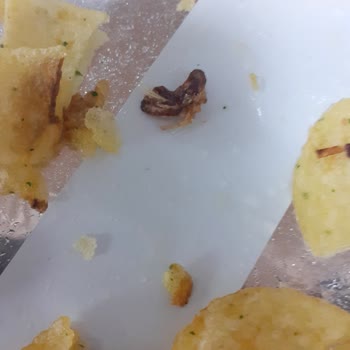 Lays Cipsten Böcek Çıktı.