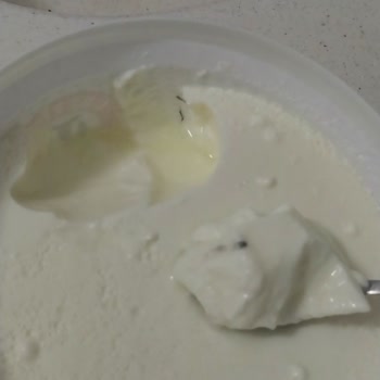 Üretici Süt ve Süt Ürünleri Yoğurtta Siyah Kufe Benzer Bir Şey Var