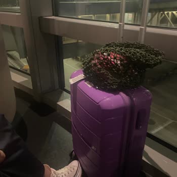 Air Arabia Bagaj Skandalı Ve İnsan Dışkılı Koltukları