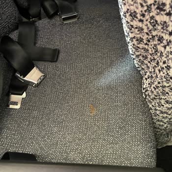 Air Arabia Bagaj Skandalı Ve İnsan Dışkılı Koltukları