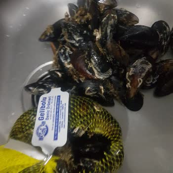 Metro Grossmarket Kocaman Ve Metro Cheff Kabuklu Midye