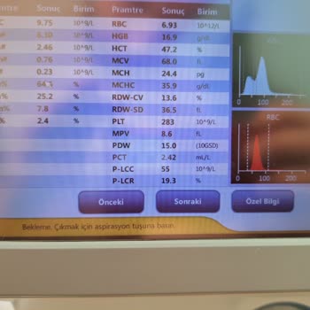 Köri Veteriner Kliniği Tuzla Köri Veteriner Kliniğinin Vermediği Hizmet