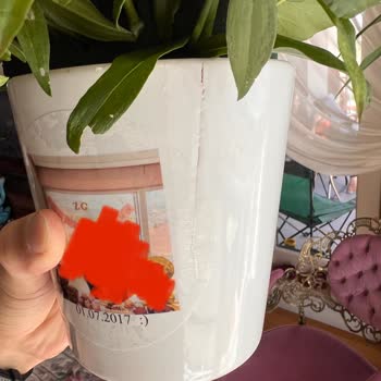 ÇiçekSepeti Ciceksepeti.com Sipariş / Teslimat Fiyaskosu