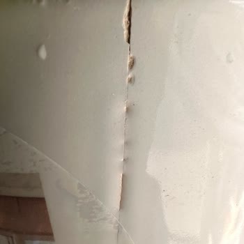 ÇiçekSepeti Ciceksepeti.com Sipariş / Teslimat Fiyaskosu