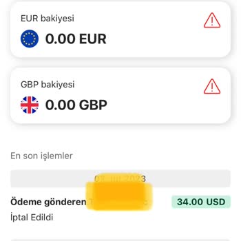 Payoneer Devre Dışı Kalan Hesap