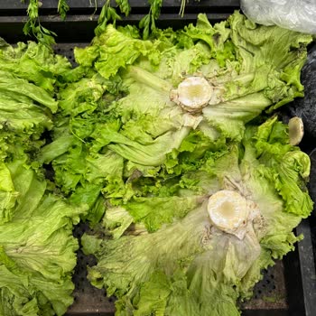 Carrefour SA Tarihi Geçmiş Bozuk Ürünleri Satıyor
