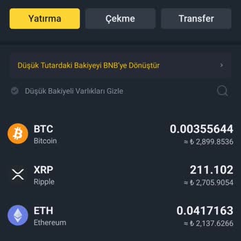Binance TR Den Paramı Çekemiyorum