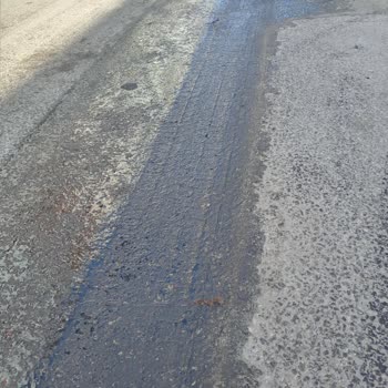 Alaşehir Belediyesi Kalitesiz Hizmeti