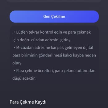 Ton Exchange Kripto Para Aktarma Sorunu!