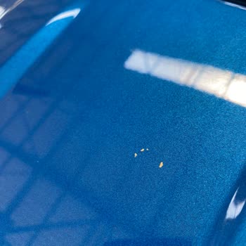 Ford Aracımın Kuş Pisliğinden Dolayı Sürekli Boyası Kalkıyor!