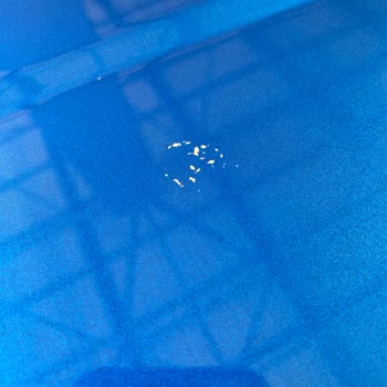 Ford Aracımın Kuş Pisliğinden Dolayı Sürekli Boyası Kalkıyor!