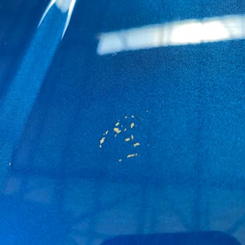 Ford Aracımın Kuş Pisliğinden Dolayı Sürekli Boyası Kalkıyor!