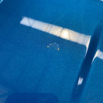 Ford Aracımın Kuş Pisliğinden Dolayı Sürekli Boyası Kalkıyor!