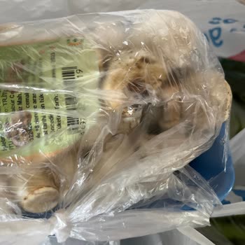 Migros Sanal Market Bozuk Ürün Gönderimi