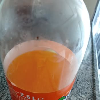 Fanta Şişesinin İçinde Böcek Çıktı