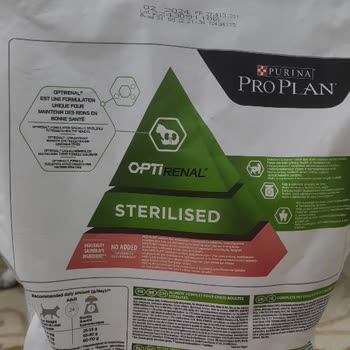 Nestle Purina Mamadan Ölen Yavru Kedim