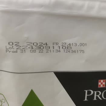 Nestle Purina Mamadan Ölen Yavru Kedim