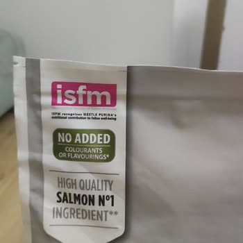 Nestle Purina Mamadan Ölen Yavru Kedim