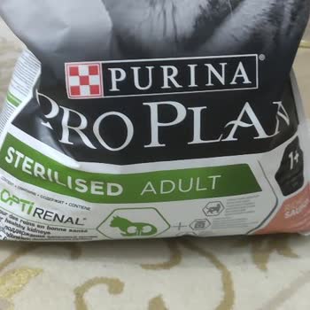Nestle Purina Mamadan Ölen Yavru Kedim