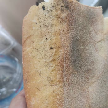 Eylül Ekmek & Unlu Mamülleri (Buca) Ciddi Hijyensiz Ekmek Fırını