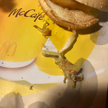 McDonald's Soğuk Yemek Ve Çürük Ürün.