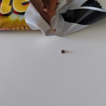 Ülker Metro Çikolata İçinden Çıkan Taşa Benzer Madde