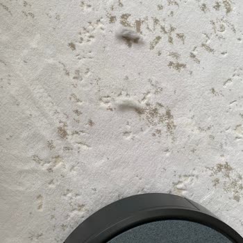 iRobot Süpürürken Her Yere Çöp Bırakıyor.