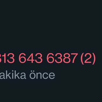 WhatsApp 234 Numaralı Arama
