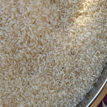 Şok Marketler Böceklenen Pirinç İnsan Sağlığının Değersizliği
