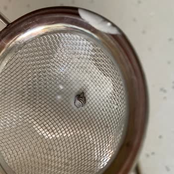 Arslan Süt Ürünleri Ayrandan Böcek Çıktı