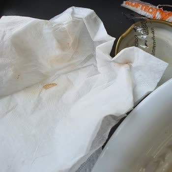 Köfteci Yusuf Köftede Kemik Çıkması