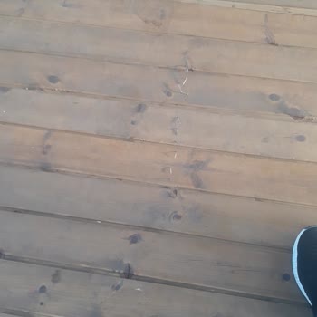 Novada Menemen Hiçbir Konuda Kimse Yardımcı Olmadı