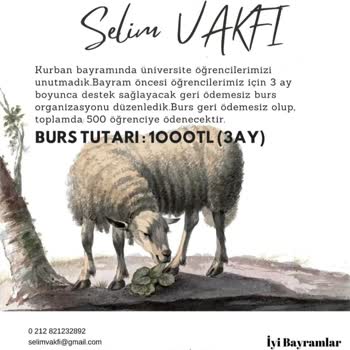 P*****a Selim Vakfı'ndan Aldığım Burs Başvurusuyla İlgili Şüpheli Durumlar