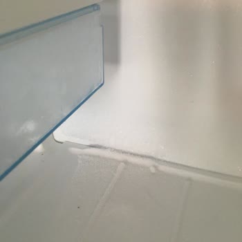 Bosch Buzdolabı Yaşadığımız Mağduriyetler