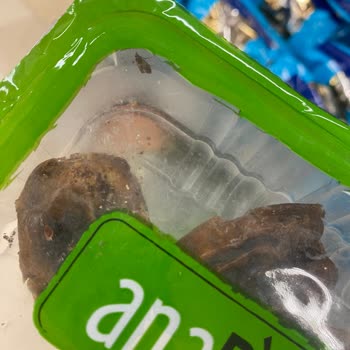 Erasta Migros Böceklenmiş Gıdalar