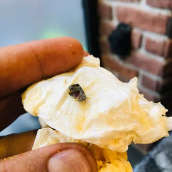 Şırdancı Kemal (Adana) Yemekten Taş Çıkması