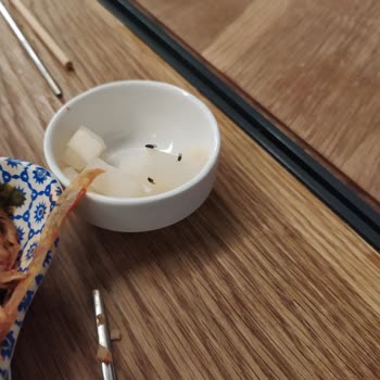 Sopung Kore Restoranı Başakşehir Hijyensizlik Ve Sinekler.