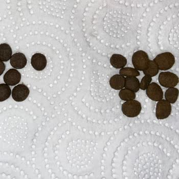 Petzzshop Mama Değiştirilmiş Olarak Geldi