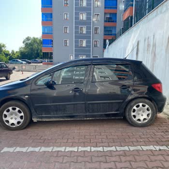 Lassa Lastik Yeşermesi Hakkında Bilgi