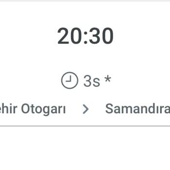 Metro Turizm Sefer Gecikmesi, Servis Eksikliği