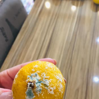 Mavi Işık Arçelik Buzdolabı Ürünlerimi Bozuyor