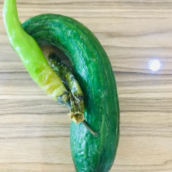 Mavi Işık Arçelik Buzdolabı Ürünlerimi Bozuyor