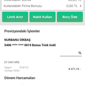 Pegasus'un Online Sayfasından Araç Kiralama