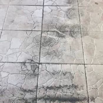 Kardeşler Yapı'dan Alınan Yeşil Çim Halı Dökülüyor, Daha Alalı 5 Gün Oldu!