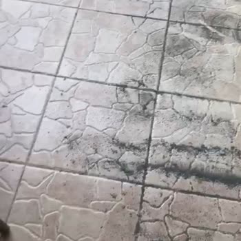 Kardeşler Yapı'dan Alınan Yeşil Çim Halı Dökülüyor, Daha Alalı 5 Gün Oldu!